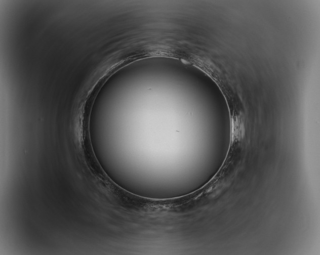 X0000093510291200710121536