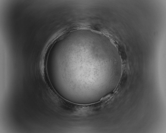 X0000093510293200710121536