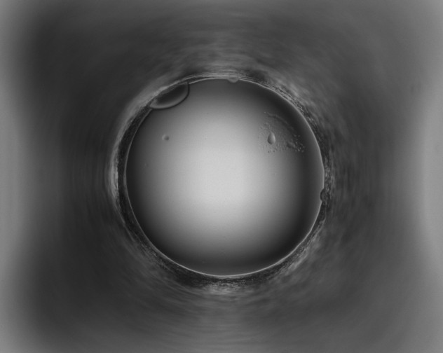 X0000093510294200710121536