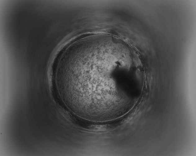 X0000093510295200710121536