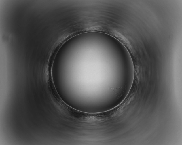 X0000093510298200710121536
