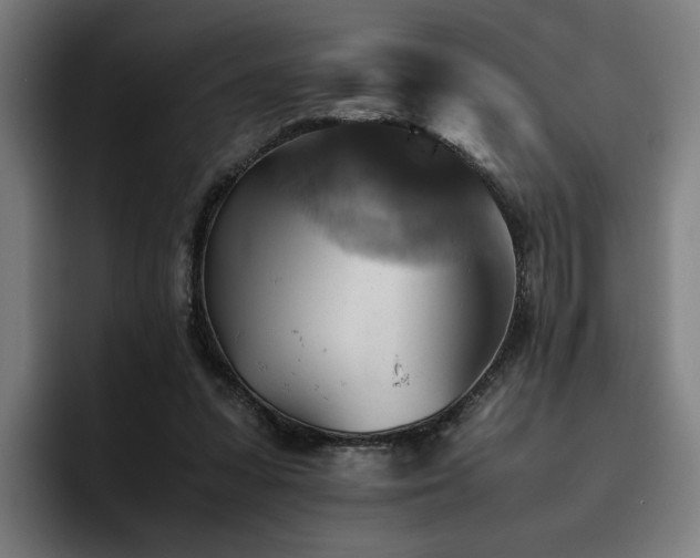 X0000093510303200710121536
