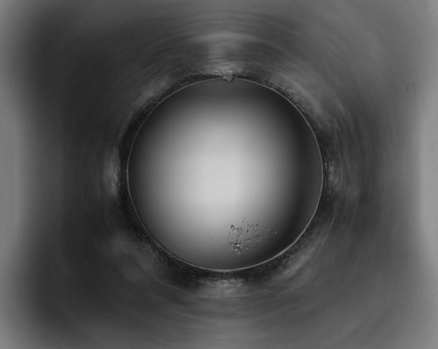 X0000093510304200710121536