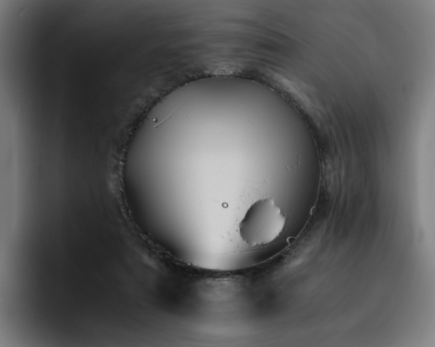 X0000093510307200710121536