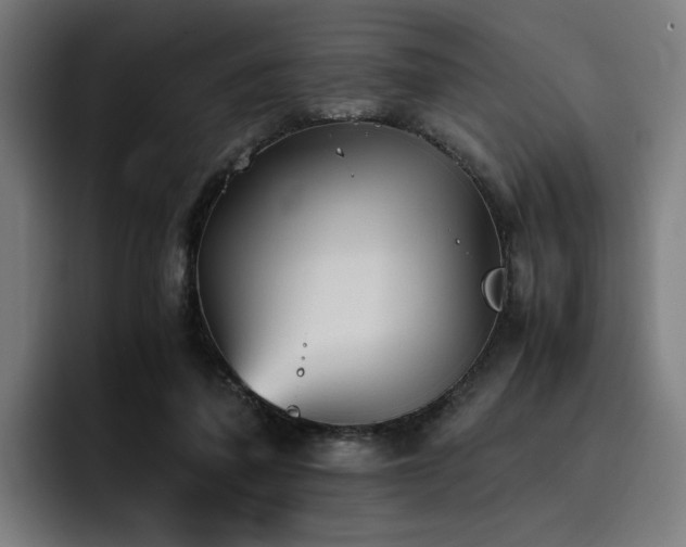 X0000093510308200710121536
