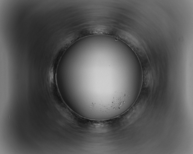 X0000093510310200710121536