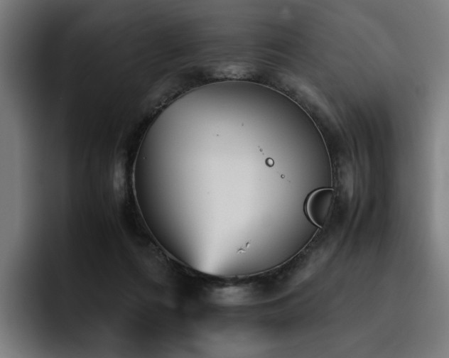 X0000093510312200710121536