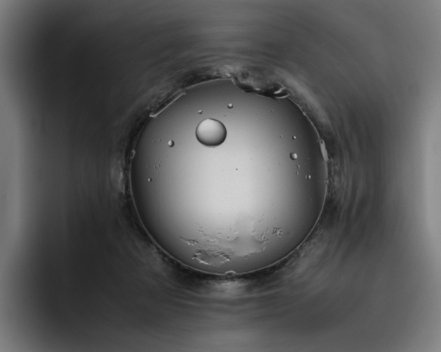 X0000093510313200710121536