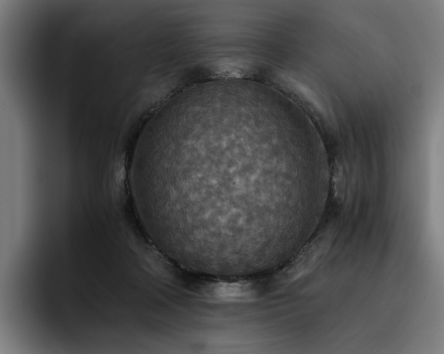 X0000093510314200710121536