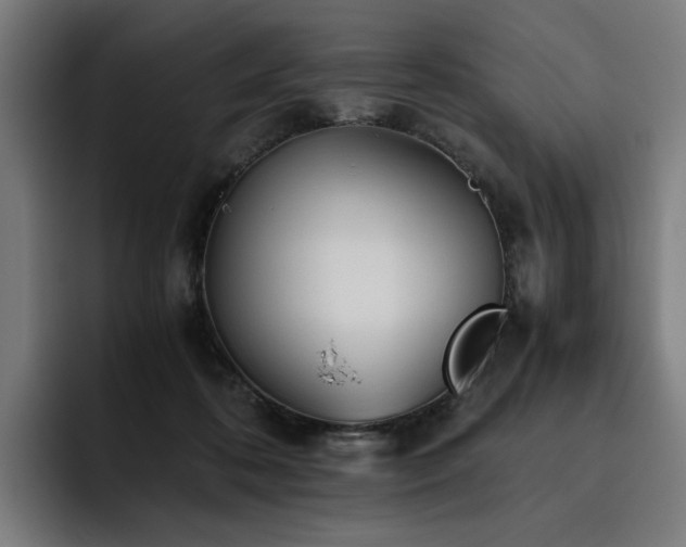 X0000093510316200710121536