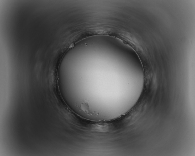 X0000093510317200710121536