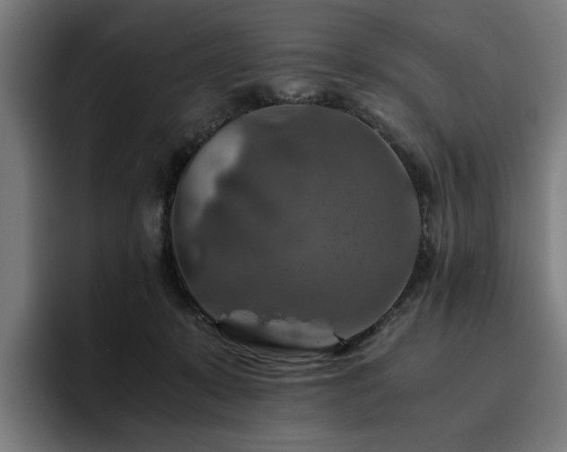 X0000093510319200710121536