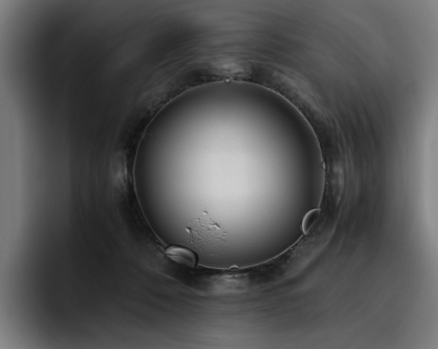 X0000093510320200710121536
