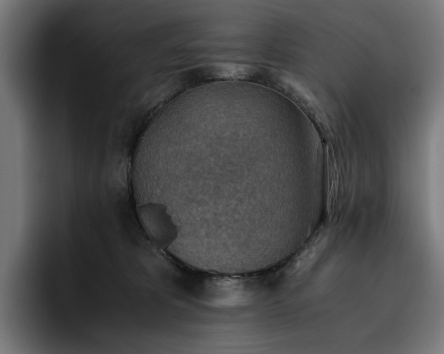 X0000093510325200710121536