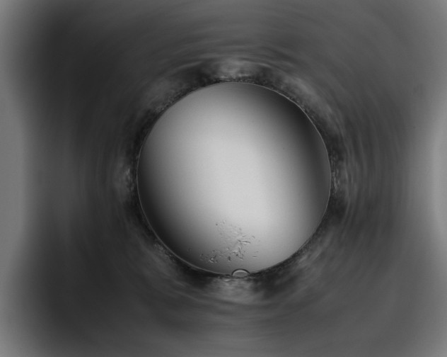 X0000093510327200710121536