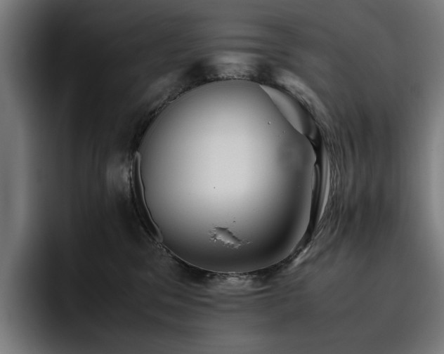 X0000093510329200710121536