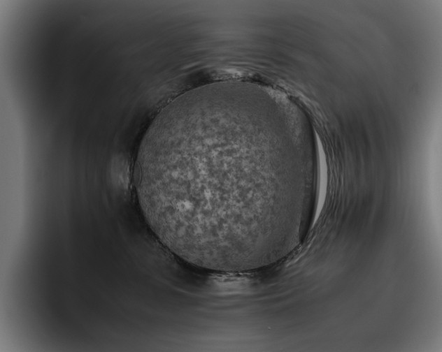 X0000093510331200710121536