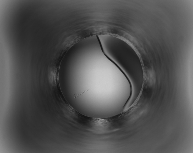X0000093510333200710121536