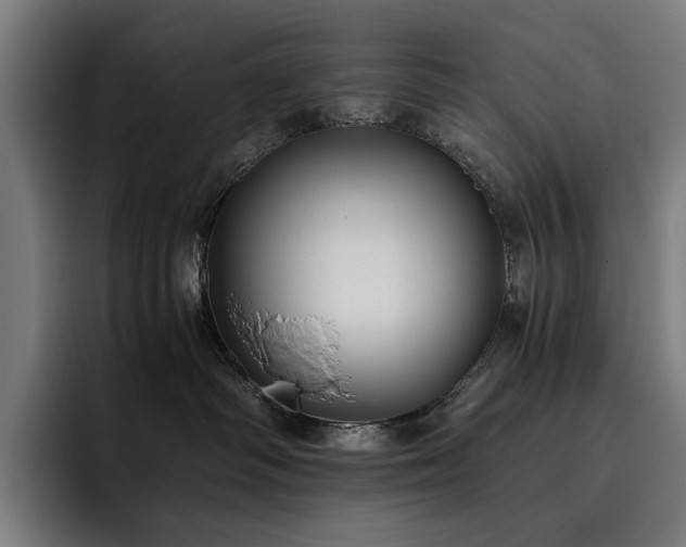X0000093510334200710121536
