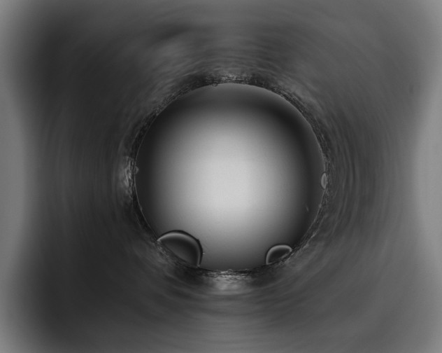 X0000093510336200710121536