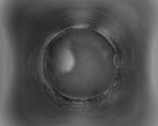 X0000093510337200710121535