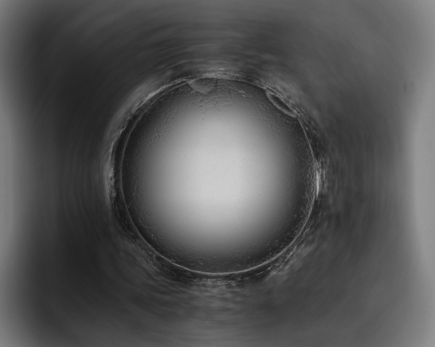 X0000093510339200710121535