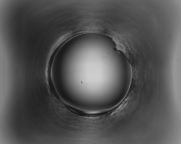 X0000093510340200710121535