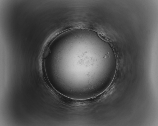 X0000093510341200710121535