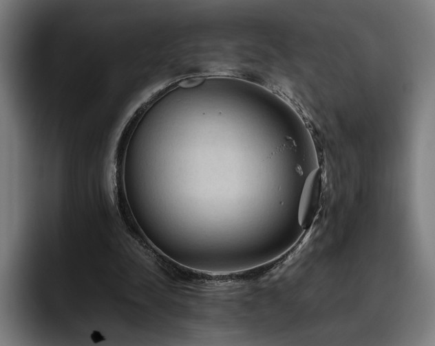 X0000093510342200710121535