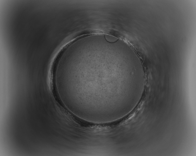 X0000093510343200710121535