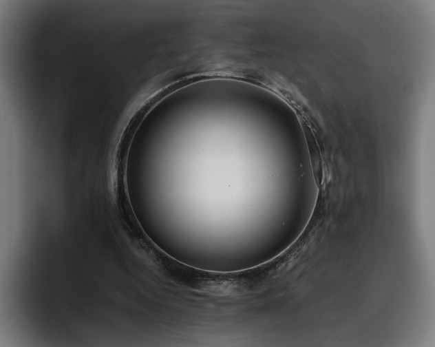 X0000093510344200710121535