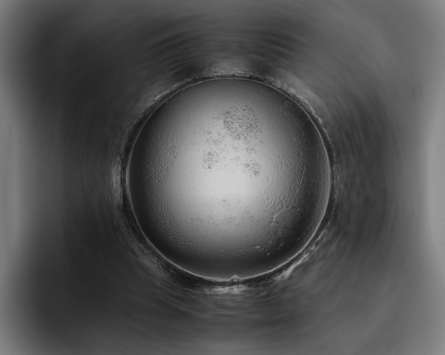 X0000093510345200710121535