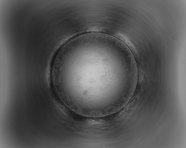 X0000093510346200710121535