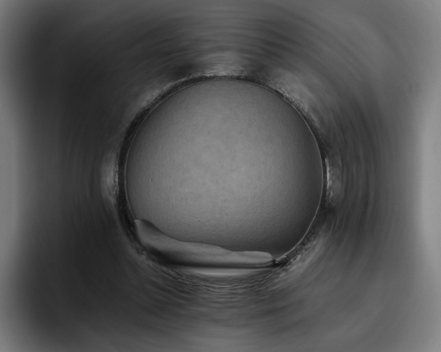X0000093510348200710121535