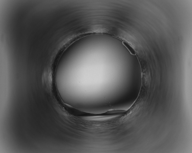 X0000093510350200710121535