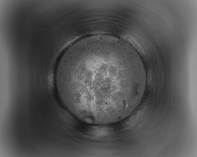 X0000093510351200710121535
