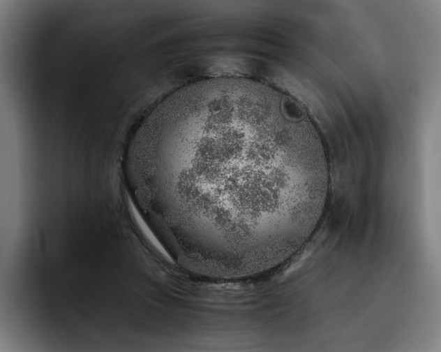 X0000093510353200710121535