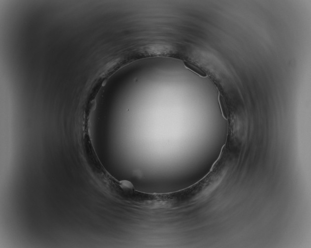 X0000093510356200710121535
