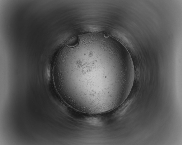 X0000093510358200710121535