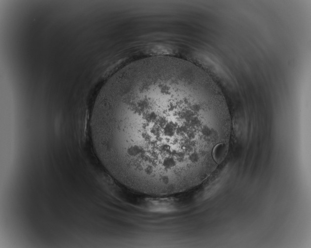 X0000093510359200710121535