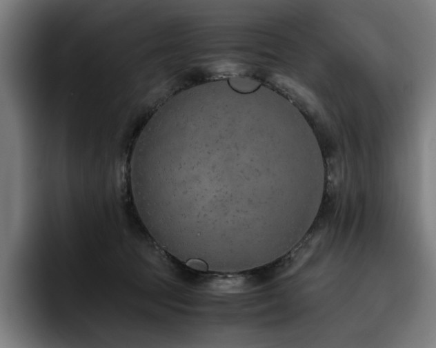 X0000093510369200710121536