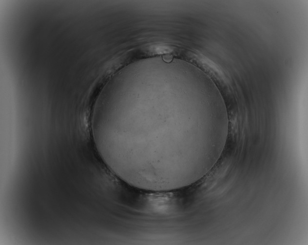 X0000093510373200710121536
