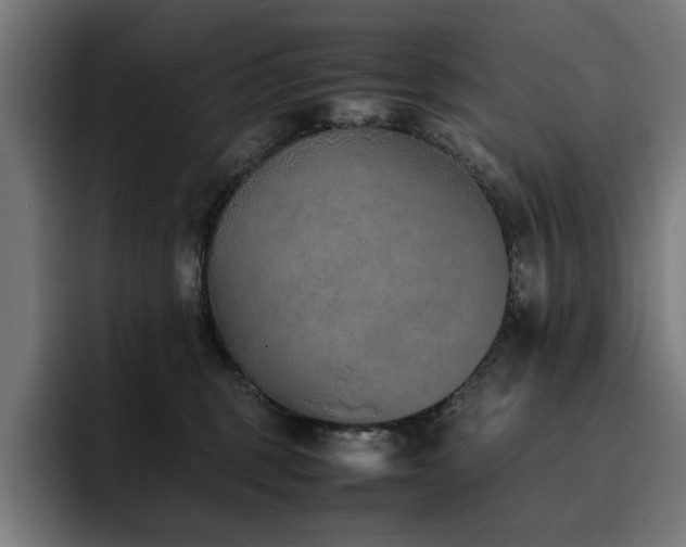 X0000093510375200710121536