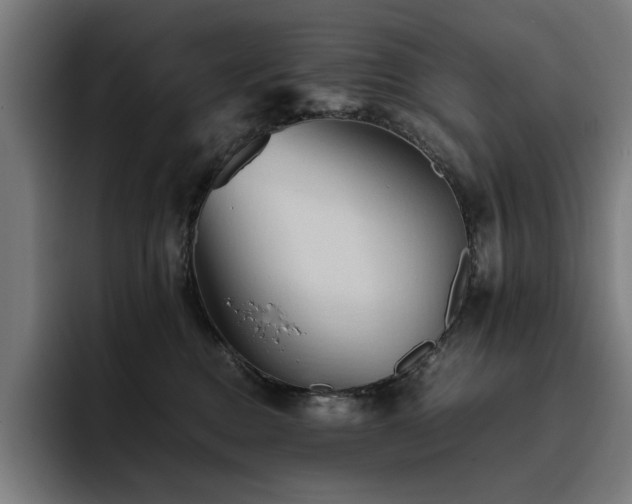 X0000093510376200710121536