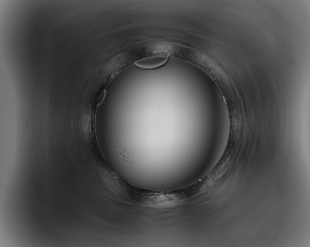 X0000093510379200710121536