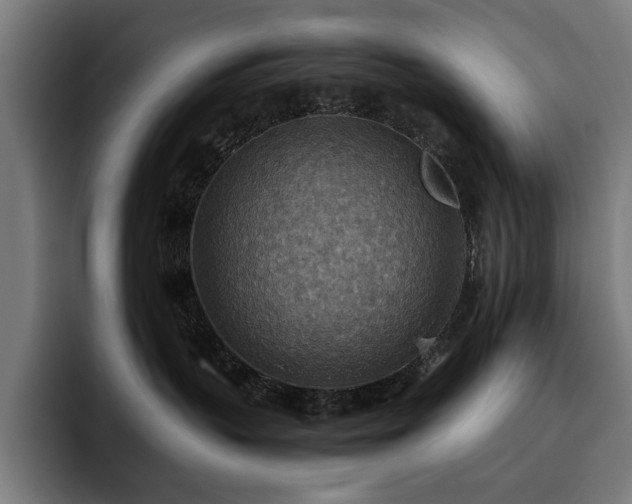 X0000093510383200710121536