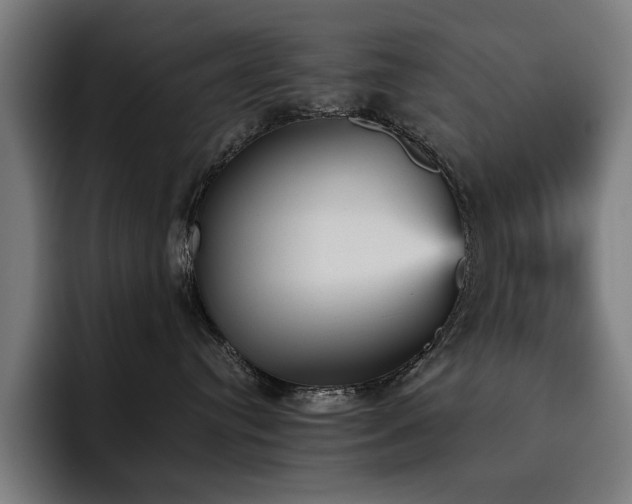 X0000093510384200710121536