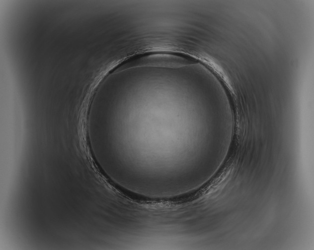 X0000093510385200710121535