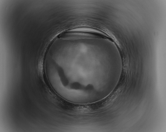 X0000093510386200710121535