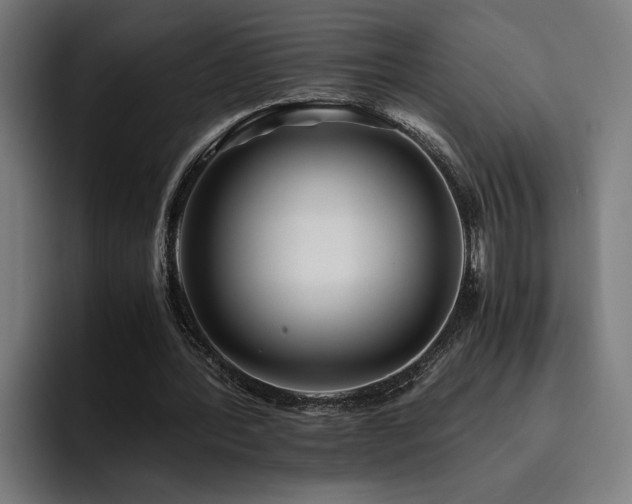 X0000093510388200710121535